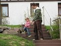 maibaum (45)